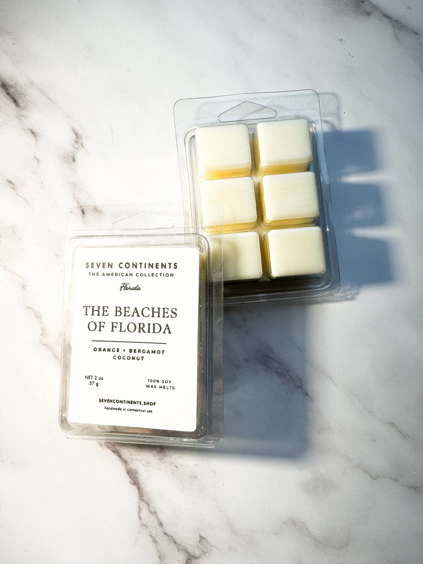 The Beaches of Florida - Soy Wax Melt