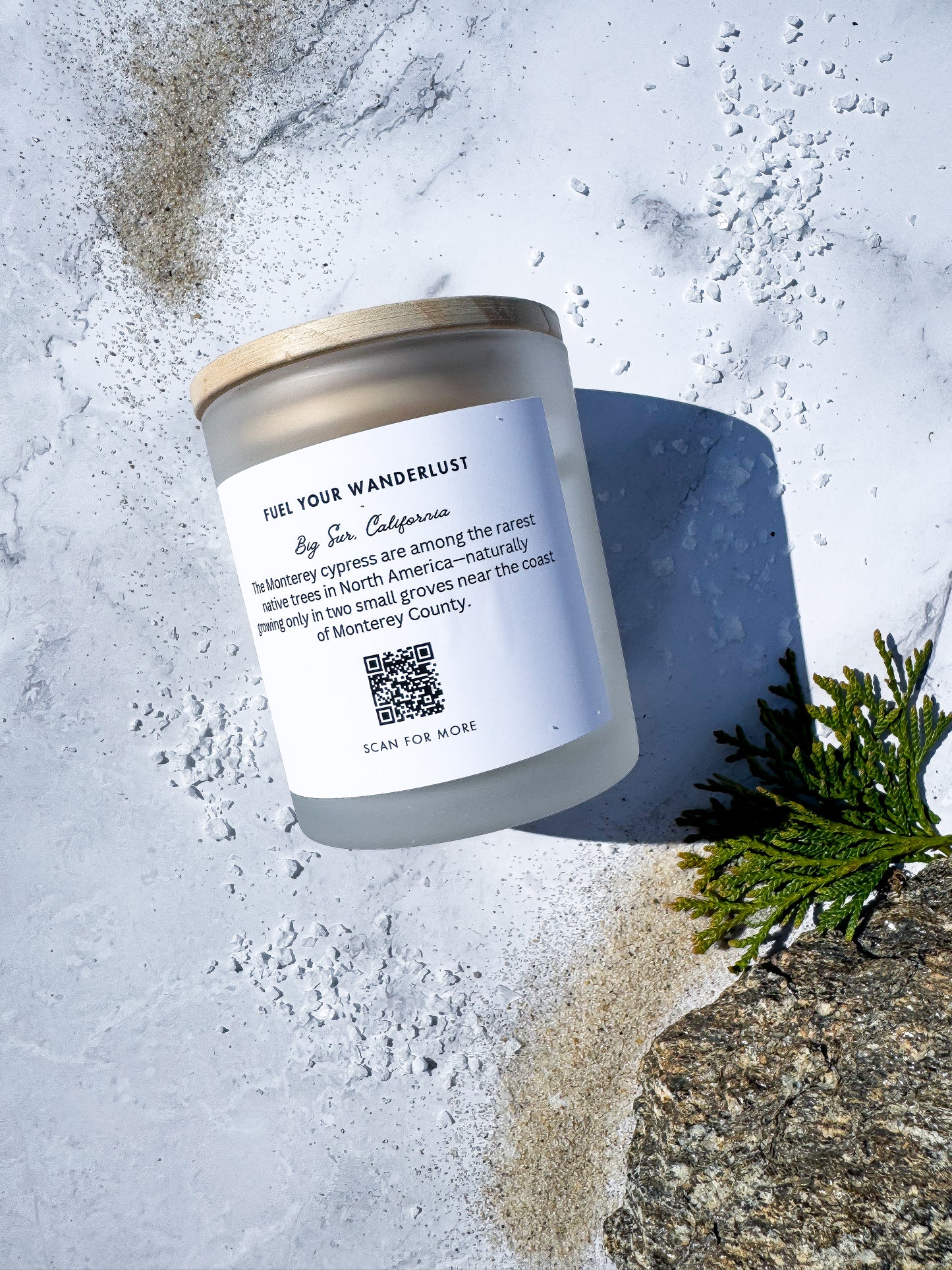 Cypress Cliffs of Big Sur - Soy Candle