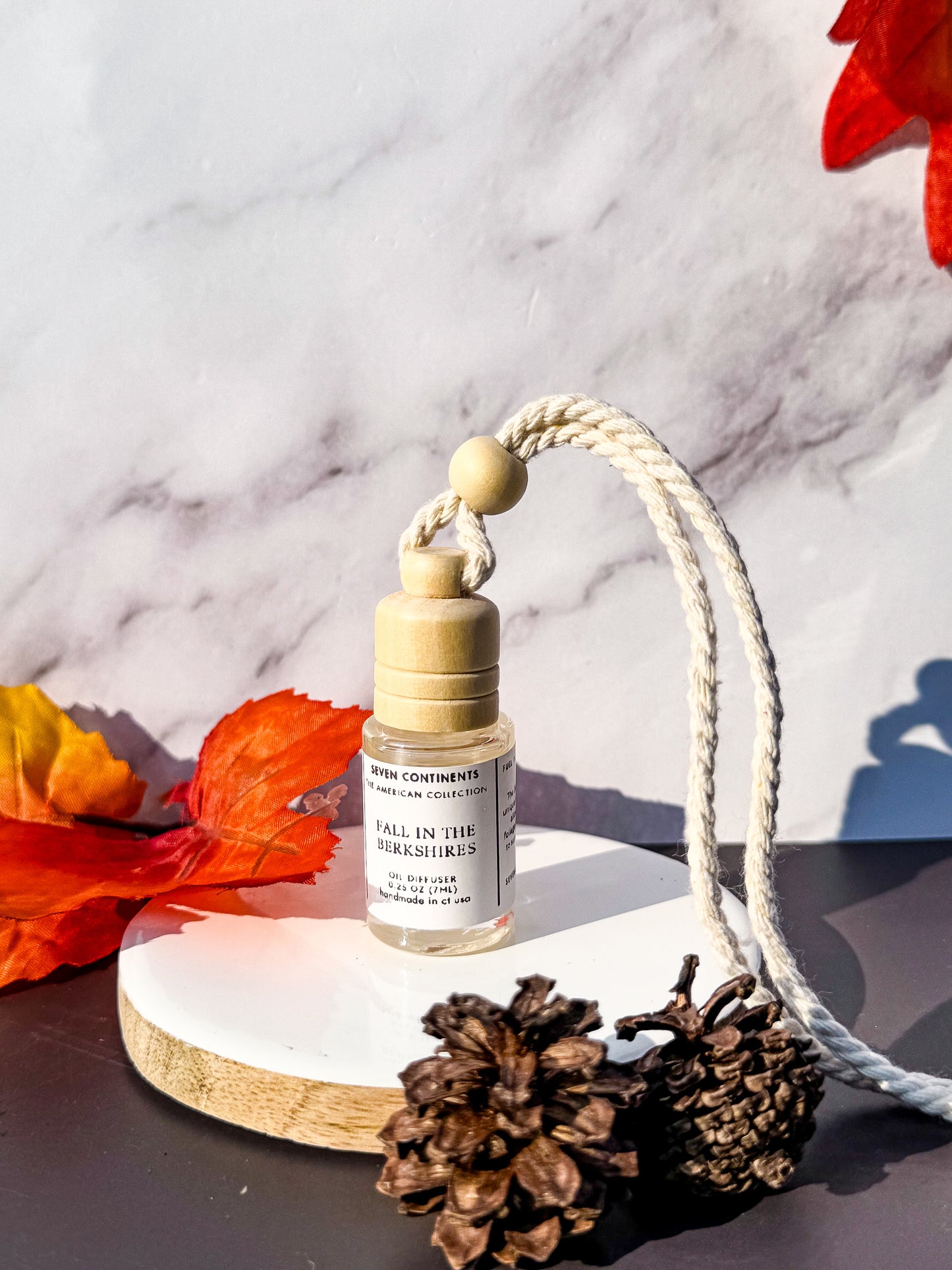 Fall in the Berkshires Mini Car Diffuser