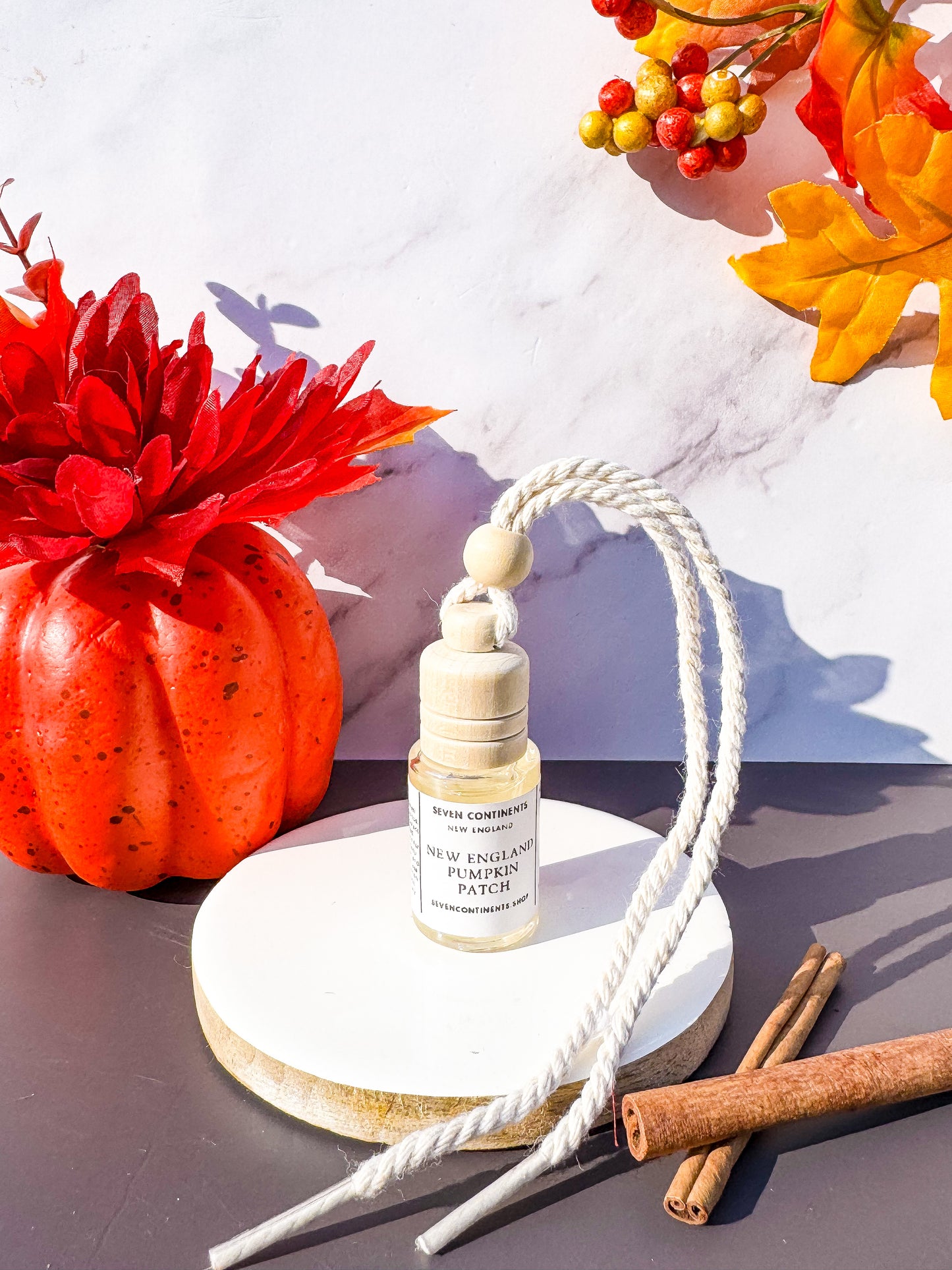 New England Pumpkin Patch Mini Car Diffuser