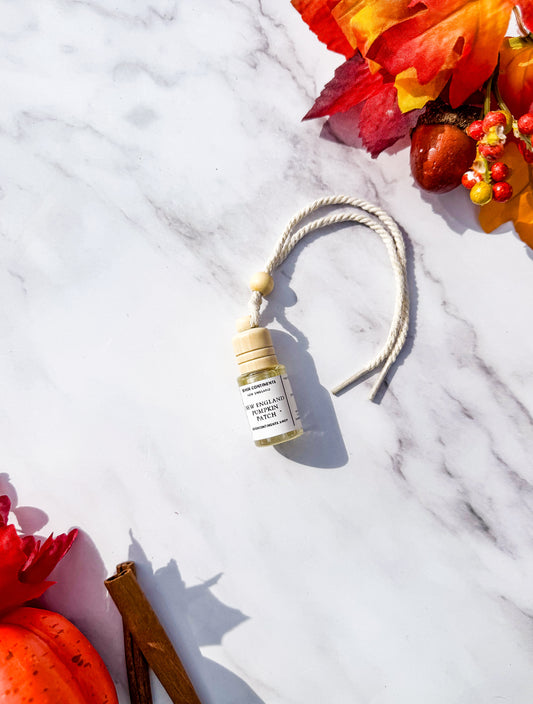 New England Pumpkin Patch Mini Car Diffuser