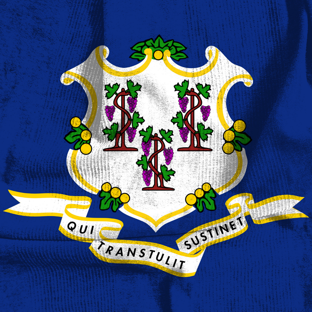 The Nutmeg State Soy Wax Melt (Connecticut)