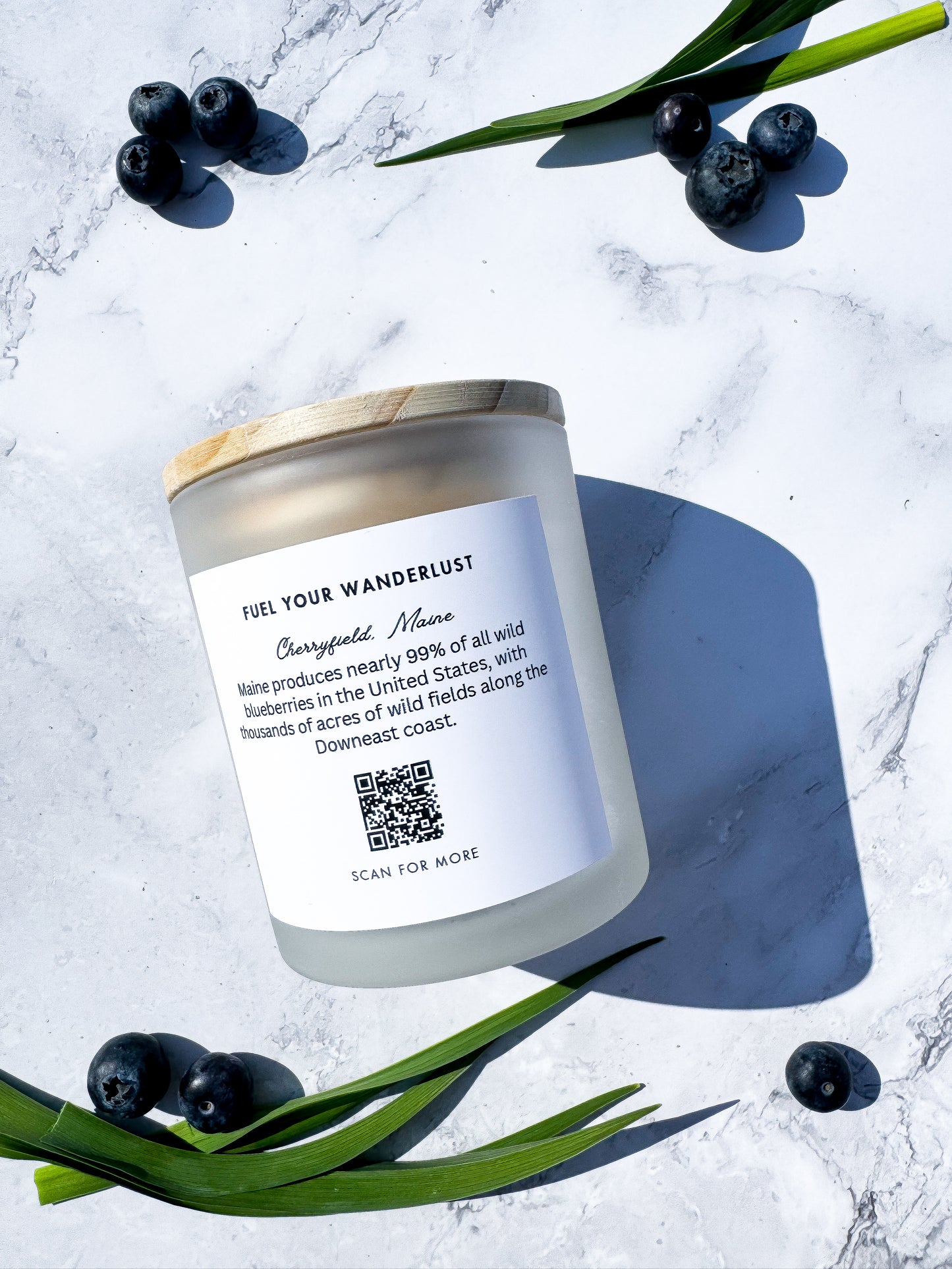 Wild Maine Blueberries Candle