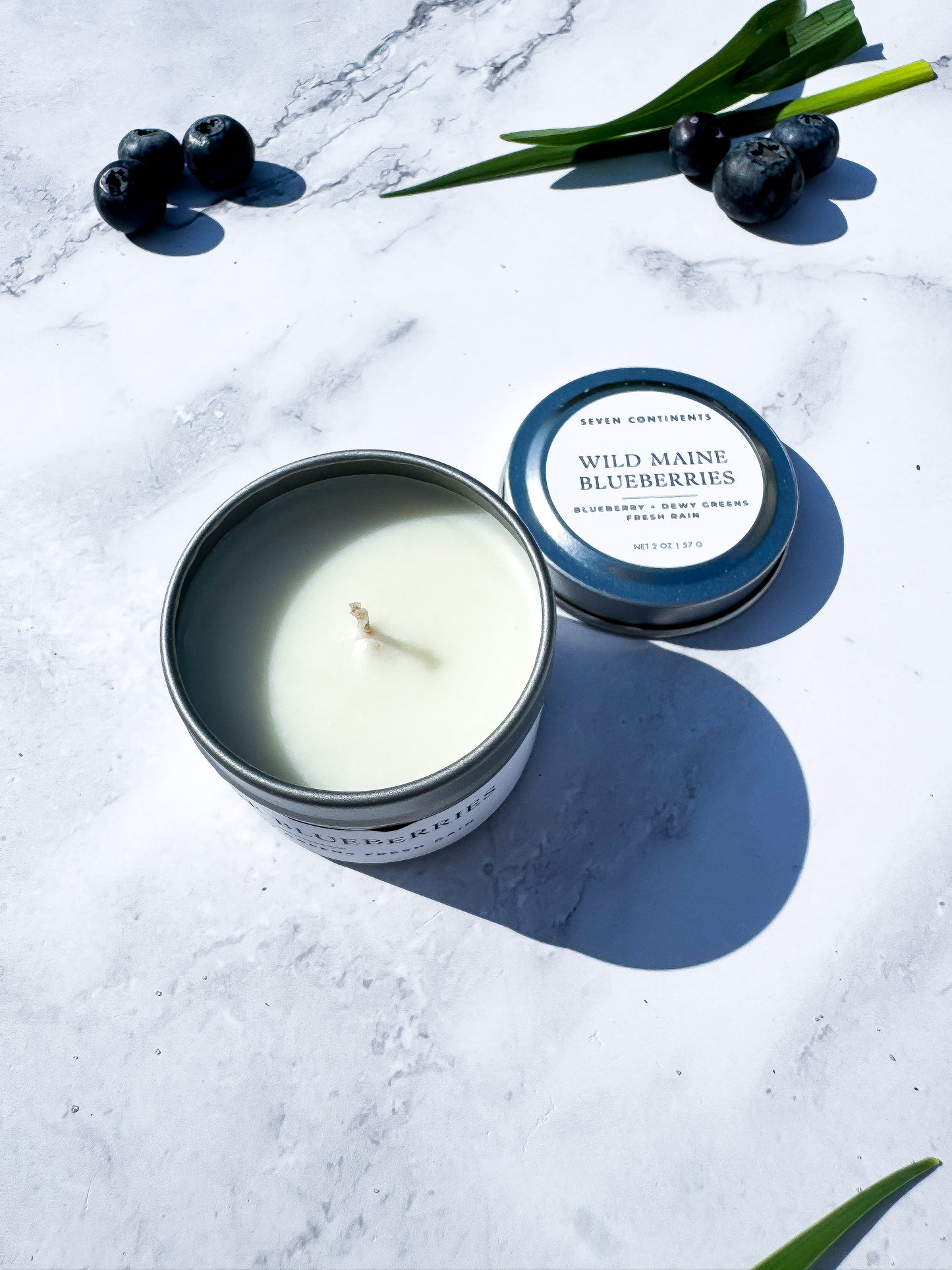 Wild Maine Blueberries - Soy Wax Mini Candle