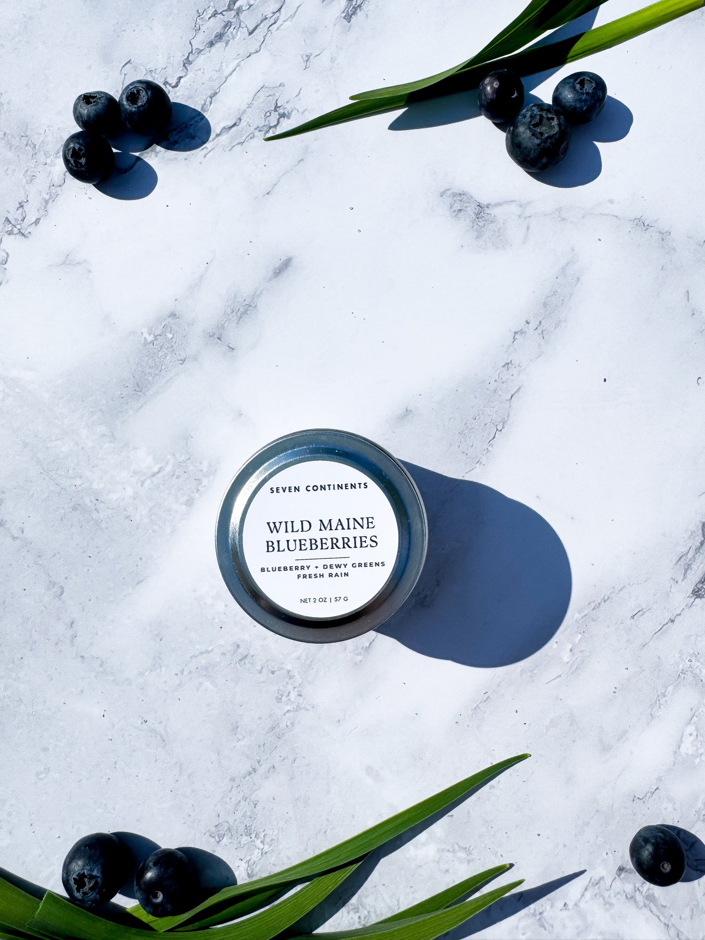 Wild Maine Blueberries - Soy Wax Mini Candle