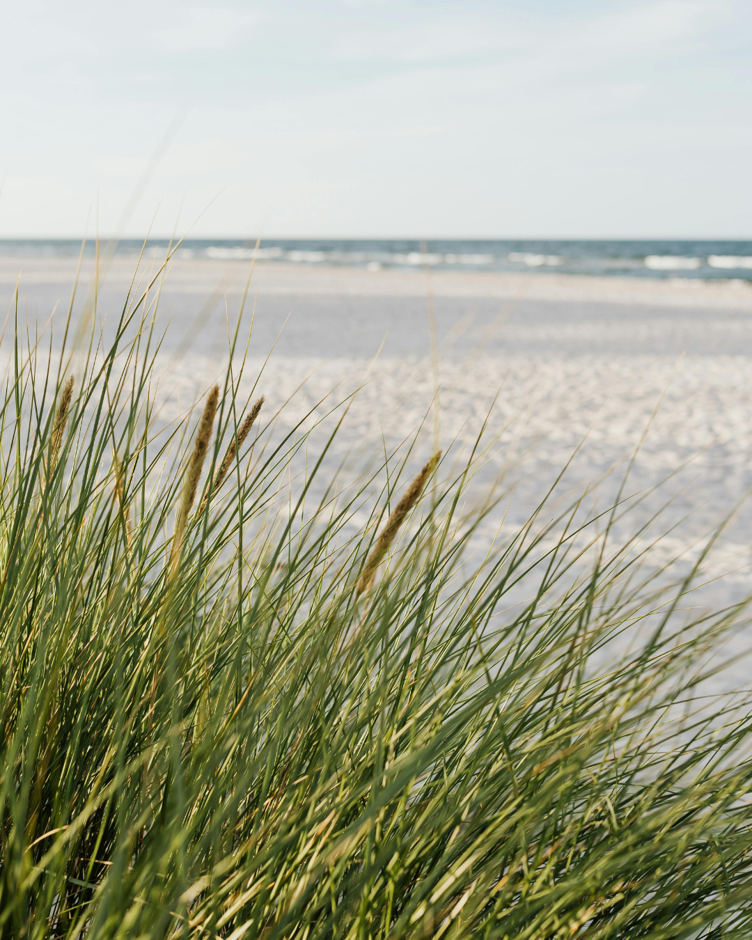 Carolina Sea Grass - Mini Room & Linen Spray