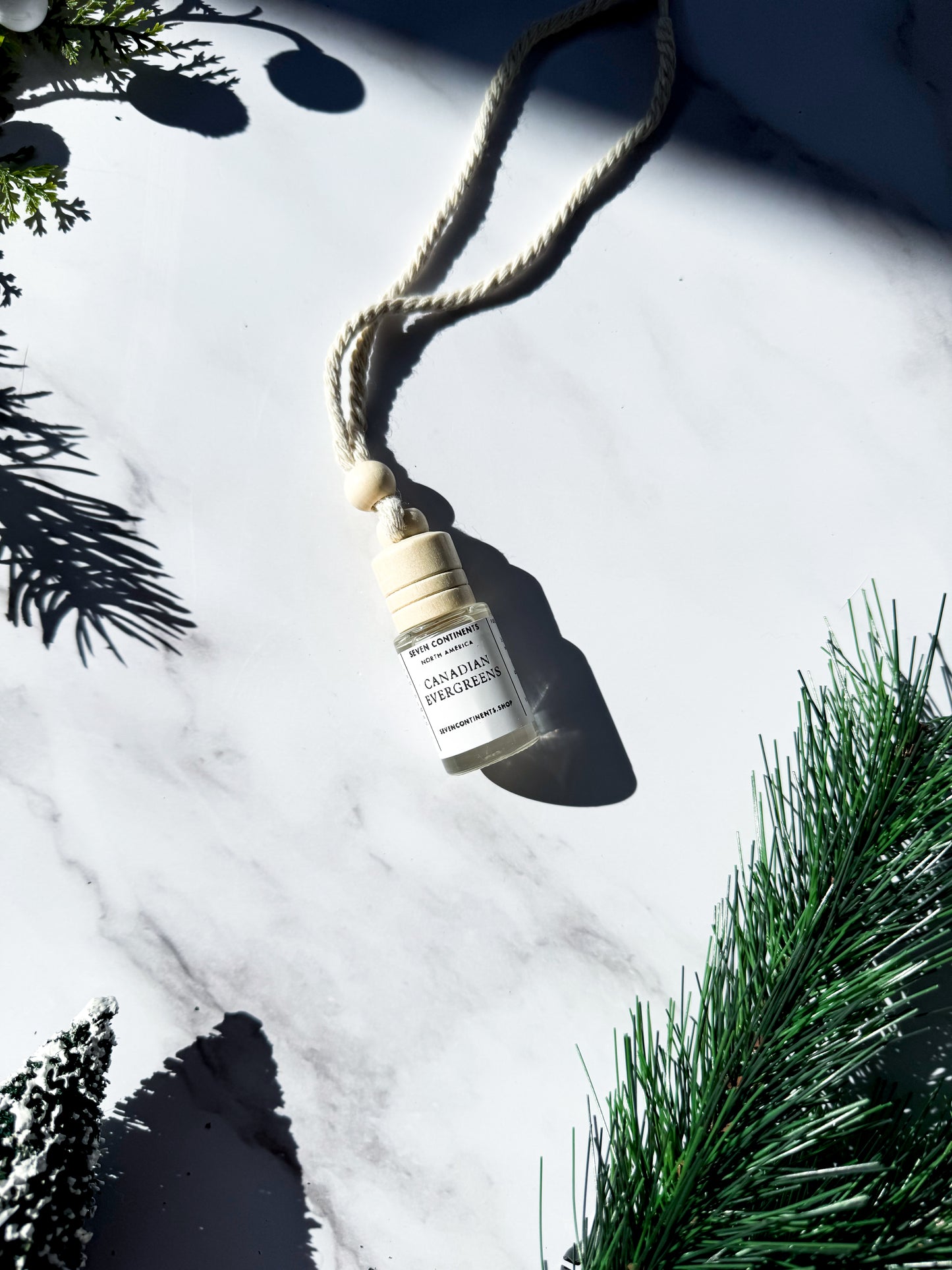 holiday and winter hanging car diffusers