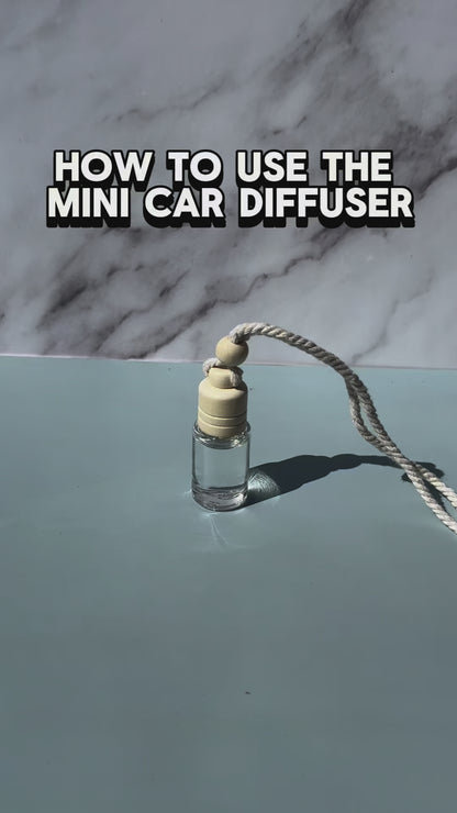 Connecticut Strawberries - Mini Car Diffuser