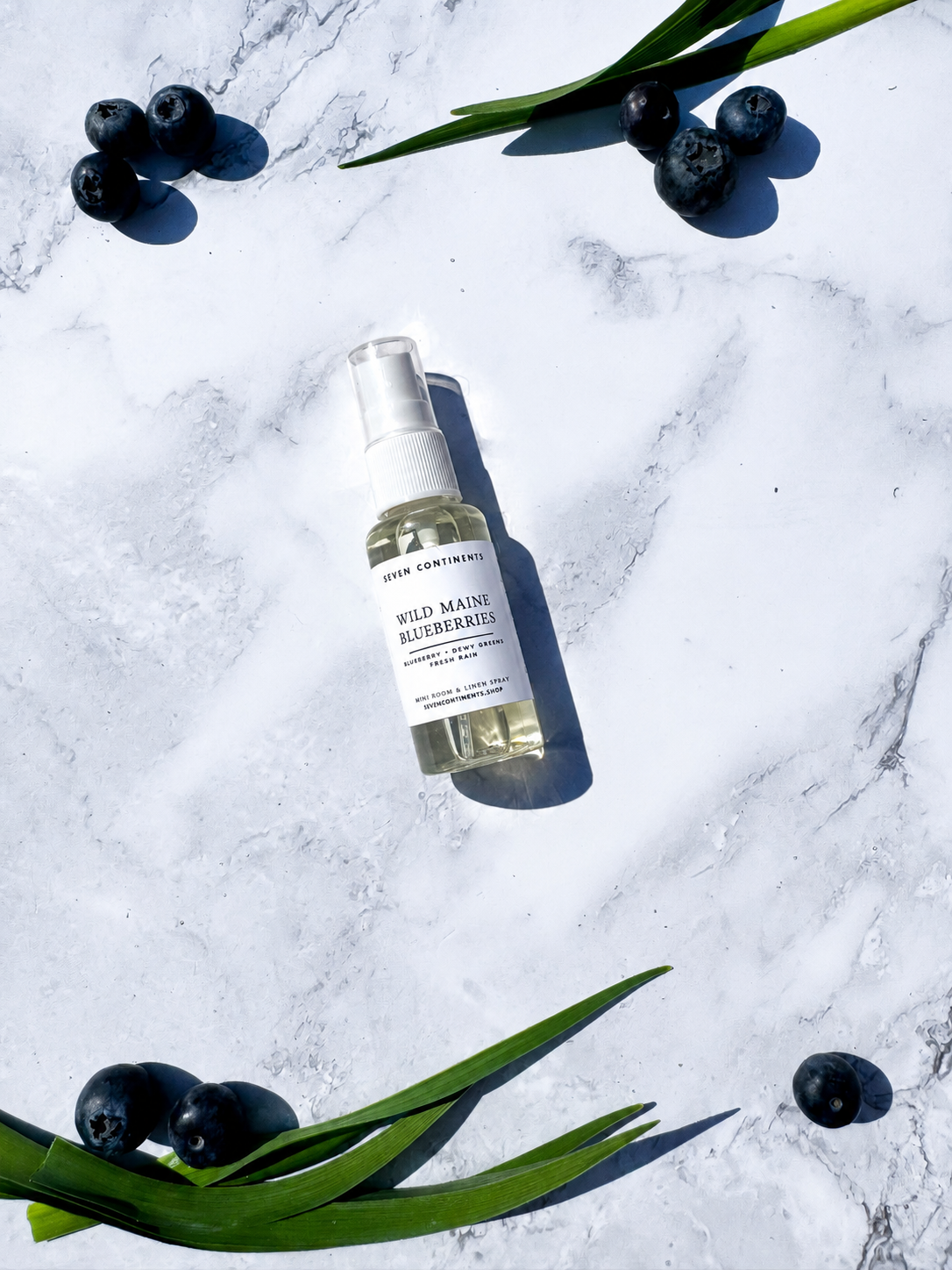fresh maine blueberries spray
