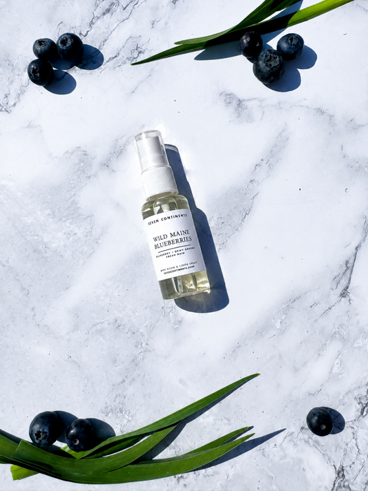 fresh maine blueberries spray
